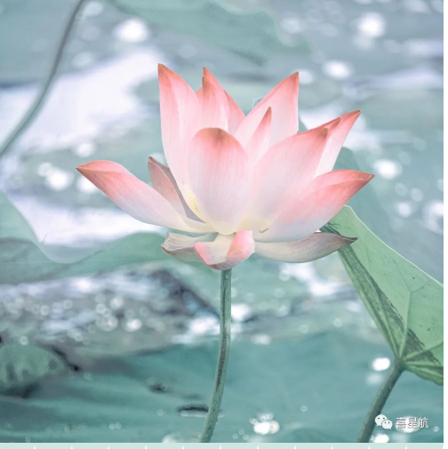 定了！今年居民醫保繳費標準每人每年350元！